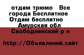 отдам трюмо - Все города Бесплатное » Отдам бесплатно   . Амурская обл.,Свободненский р-н